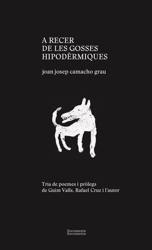 A recer de les gosses hipodèrmiques | 9788412258257 | Joan Josep Camacho Grau
