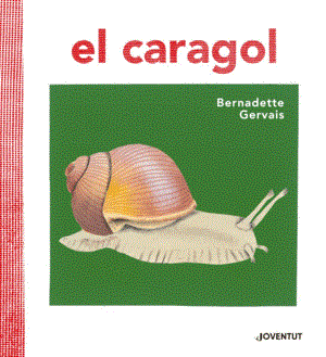 EL CARAGOL | 9788426145680 | BERNADETTE GERVAIS & SUSANA TORNERO BRUGUES