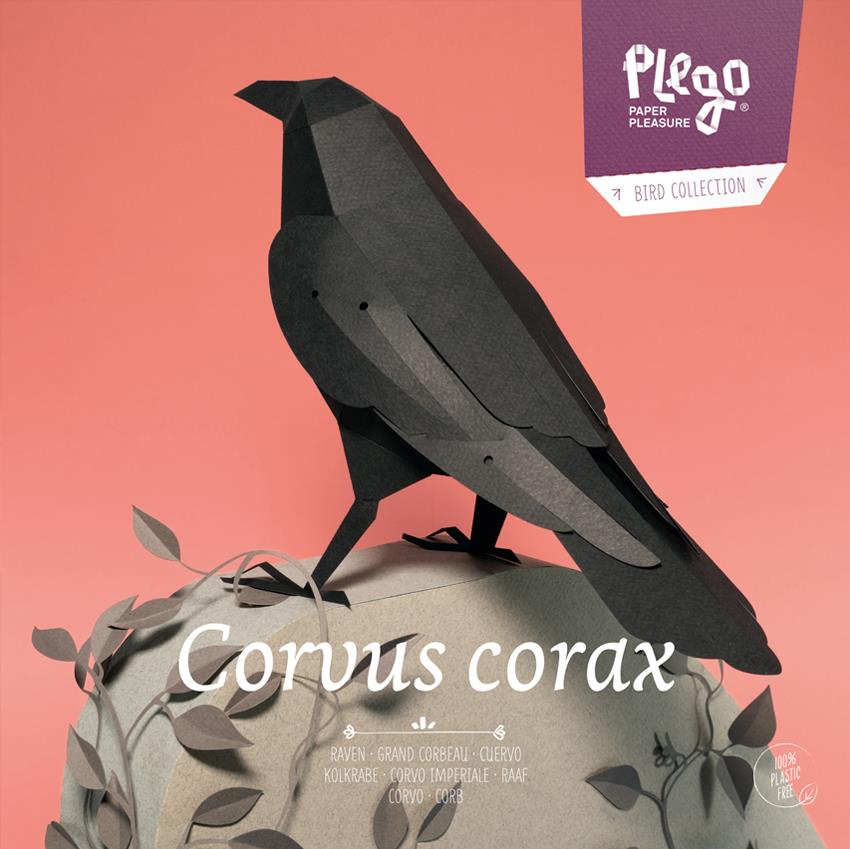 PLEGO CORVUS CORAX  | 8436043720100 | PLEGO