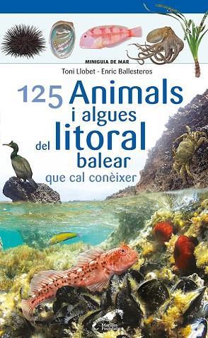 125 ANIMALS I ALGUES DEL LITORAL BALEAR QUE CAL CONÈIXER | 9788413562704 | TONI LLOBET & ENRIC BALLESTEROS