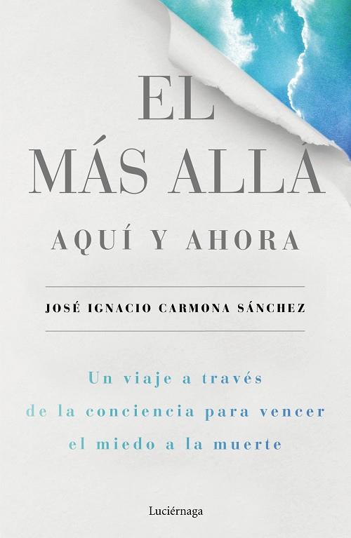 EL MAS ALLA AQUI Y AHORA | 9788416694624 | JOSE IGNACIO CARMONA SANCHEZ
