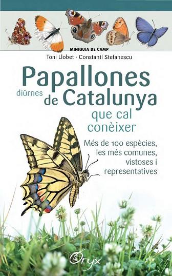 PAPALLONES DIURNES DE CATALUNYA | 9788490346754 | TONI LLOBET & CONSTANTI STEFANESCU