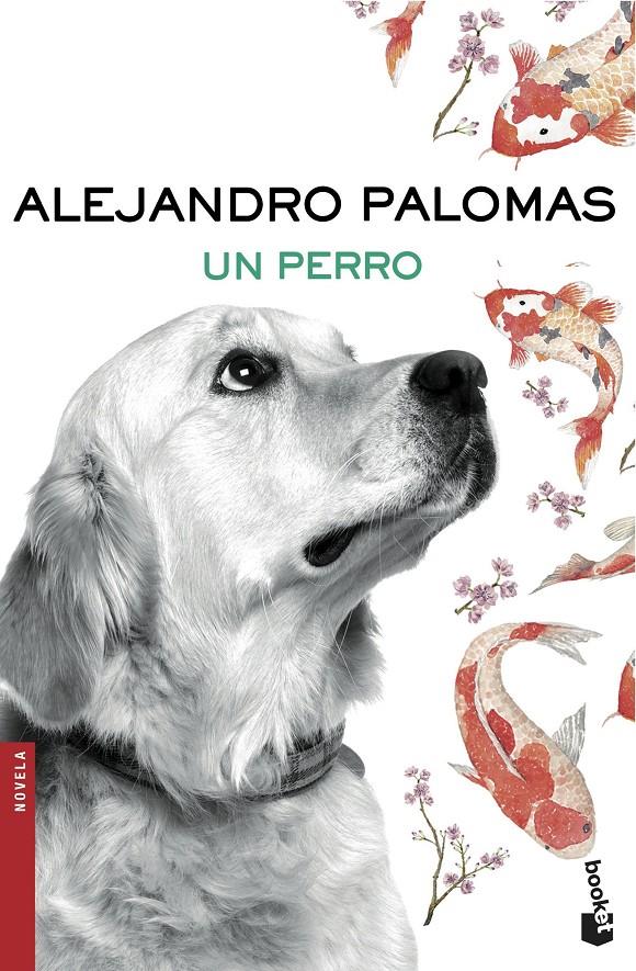 UN PERRO | 9788423351862 | ALEJANDRO PALOMAS