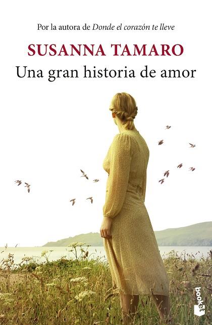 UNA GRAN HISTORIA DE AMOR | 9788432242618 | SUSANNA TAMARO