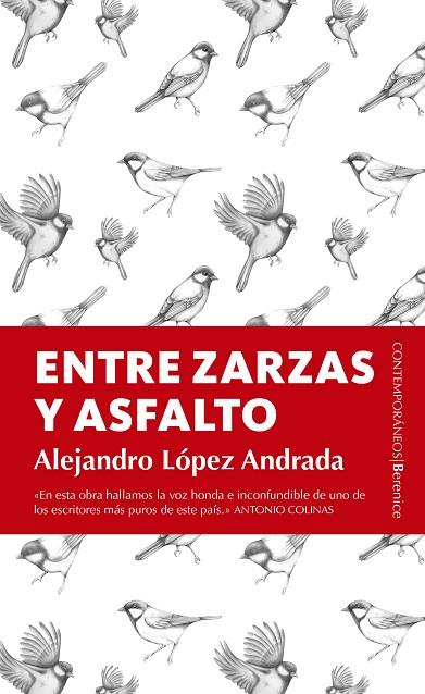 Entre zarzas y asfalto | 9788415441977 | Alenjandro Lopez Andrada