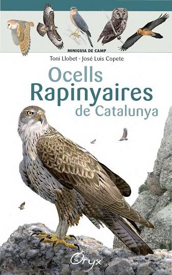 OCELLS RAPINYAIRES DE CATALUNYA | 9788490346785 | TONI LLOBET & JOSE LUIS COPETE