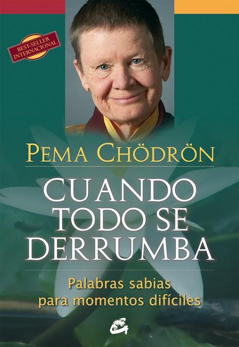 CUANDO TODO SE DERRUMBA | 9788484454298 | PEMA CHODRON