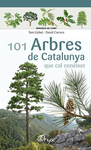 101 ARBRES DE CATALUNYA | 9788490346778 | TONI LLOBET & DAVID CARRERA 