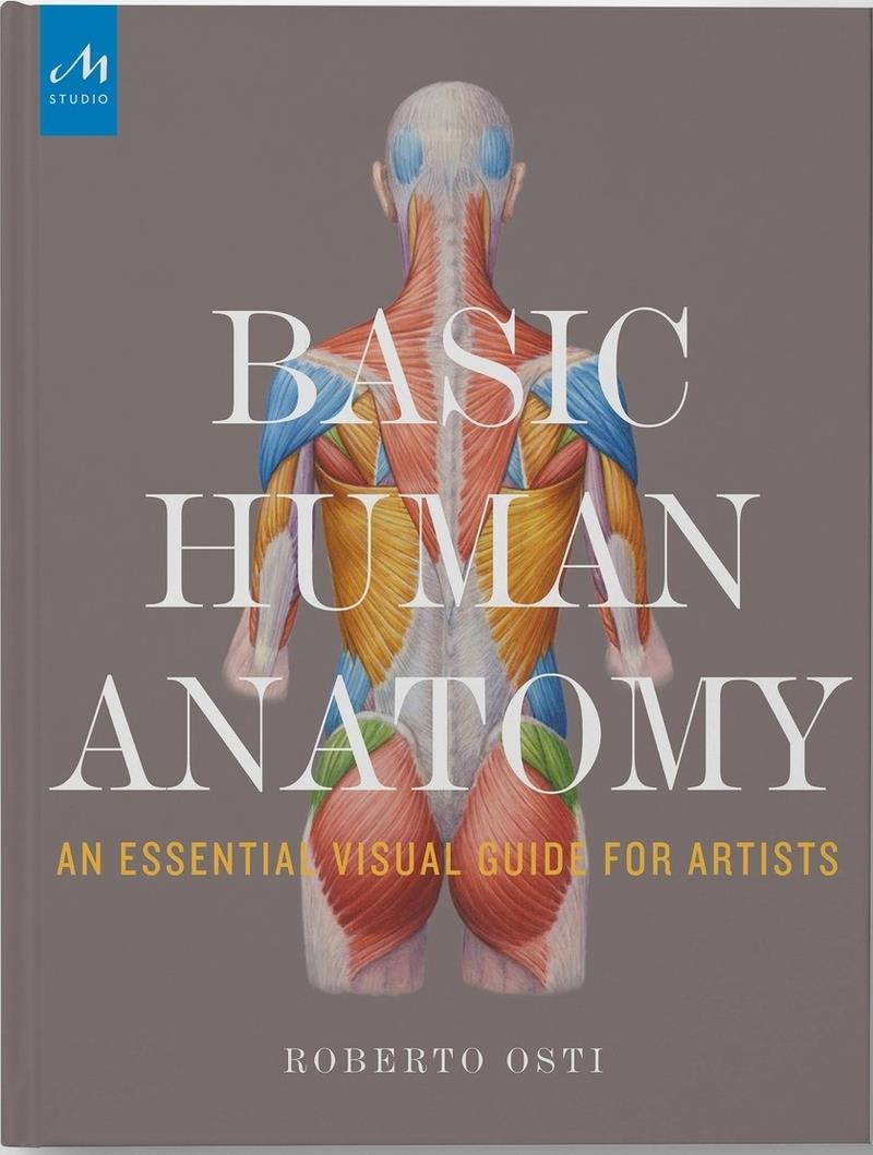 Basic Human Anatomy | 9781580934381 | ROBERTO OSTI