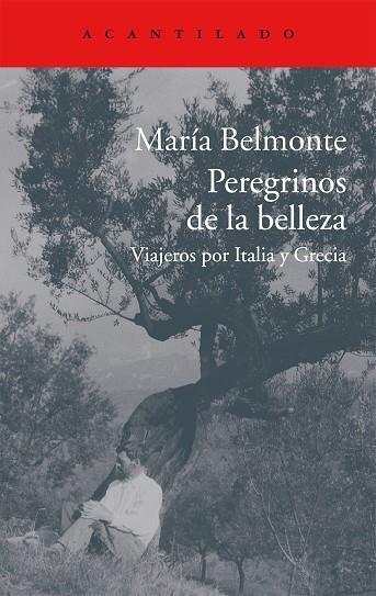 PEREGRINOS DE LA BELLEZA | 9788416011513 | MARÍA BELMONTE