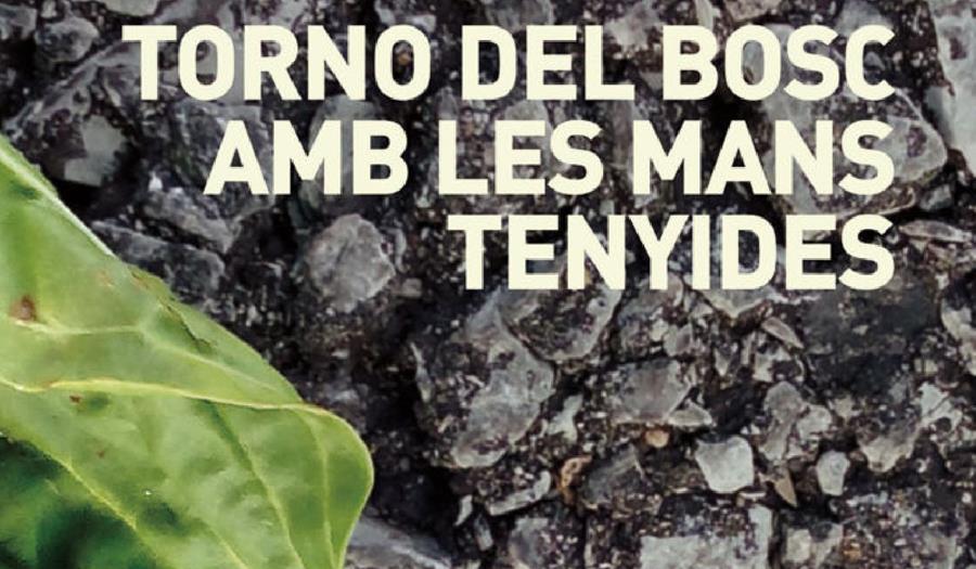 Torno del bosc amb les mans tenyides - 