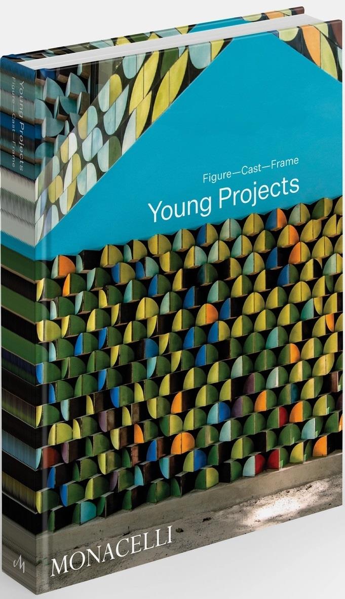 Young Projects | 9781580935982 | BRYAN YOUNG