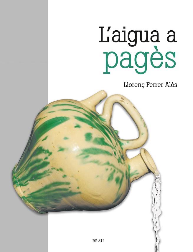L'AIGUA A PAGES | 9788418096280 | LLORENÇ FERRER ALOS