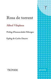 ROSA DE TORRENT | 9788412392012 | ALFRED VILAPLANA