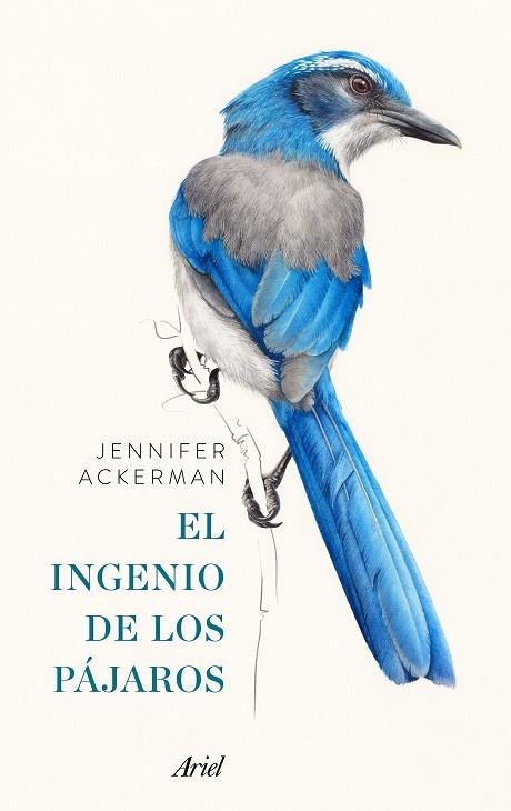 EL INGENIO DE LOS PAJAROS | 9788434427167 | JENNIFER ACKERMAN