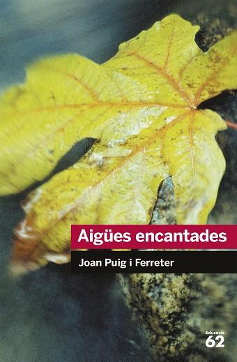 AIGUES ENCANTADES | 9788492672431 | JOAN PUIG I FERRETER