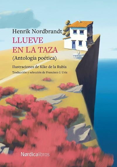 LLUEVE EN LA TAZA | 9788419320230 | HENRIK NORDBRANDT