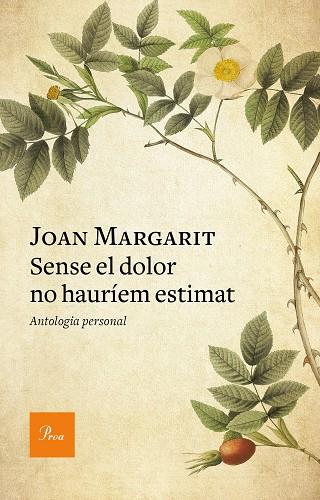 SENSE EL DOLOR NO HAURIEM ESTIMAT | 9788475888293 | JOAN MARGARIT