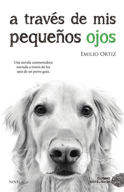 A TRAVES DE MIS PEQUEÑOS OJOS | 9788416634682 | EMILIO ORTIZ PULIDO