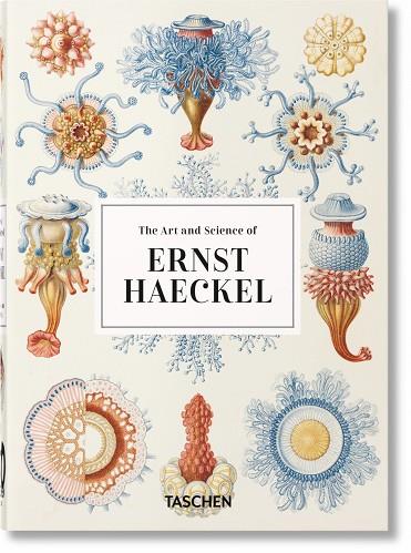 THE ART AND SCIENCE OF ERNST HAECKEL | 9783836584289 | RAINER WILLMANN & JULIA VOSS