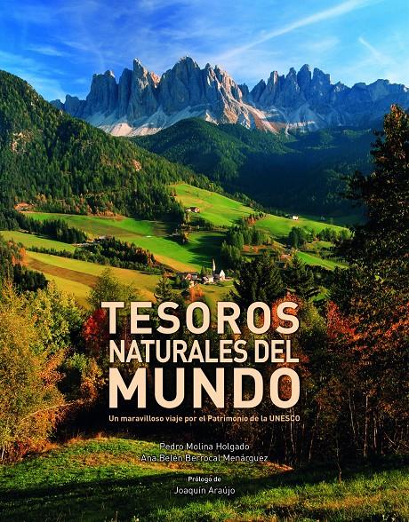 TESOROS NATURALES DEL MUNDO | 9788416177264 | MOLINA HOLGADO & BERROCAL MENARGUEZ