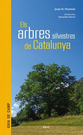 ELS ARBRES  SILVESTRES DE CATALUNYA | 9788415885856 | JOSEP M. PANAREDA