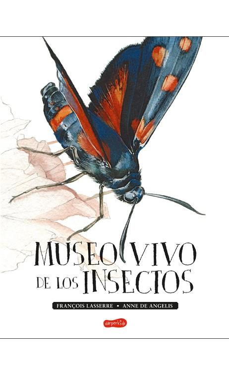MUSEO VIVO DE LOS INSECTOS | 9788417222123 | FRANÇOIS LASSERRE