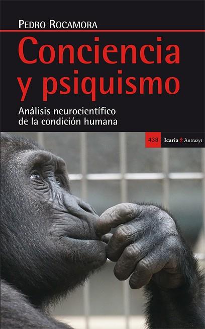 CONCIENCIA Y PSIQUISMO | 9788498886900 | PEDRO ROCAMORA GARCIA-VALLS