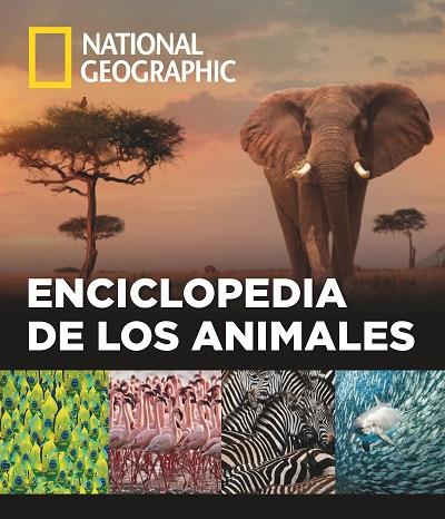 ENCICLOPEDIA DE LOS ANIMALES | 9788482986432 | VVAA