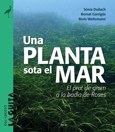 UNA PLANTA SOTA EL MAR | 9788418096747 | SONIA DUÑACH & BERNAT GARRIGOS & BORIS WEITZMANN