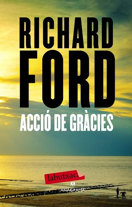 ACCIO DE GRACIES | 9788499307428 | RICHARD FORD