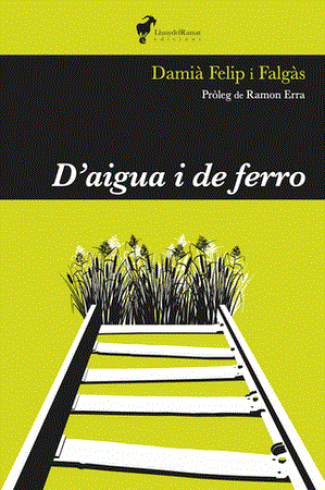 D'AIGUA I DE FERRO | 9788412575255 | DAMIA FELIP I FALGAS