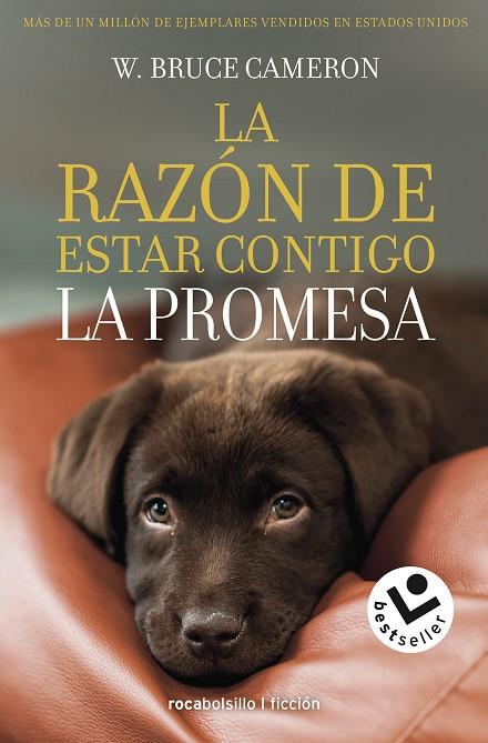 LA RAZON DE ESTAR CONTIGO LA PROMESA | 9788417821432 | BRUCE W. CAMERON