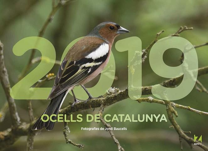 2019 OCELLS DE CATALUNYA | 9788409035465 | JORDI BAUCELLS
