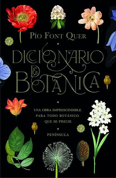 Diccionario de botanica | 9788499429076 | Pío Font Quer