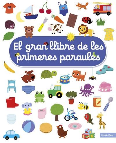 EL GRAN LLIBRE DE LES PRIMERES PARAULES | 9788491377900 | NATHALIE CHOUX