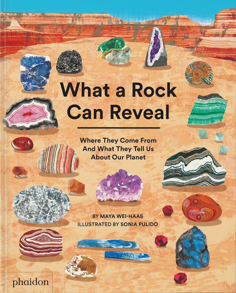 What a Rock can Reveal | 9781838667894 | SONIA PULIDO & MAYA WEI-HAAS