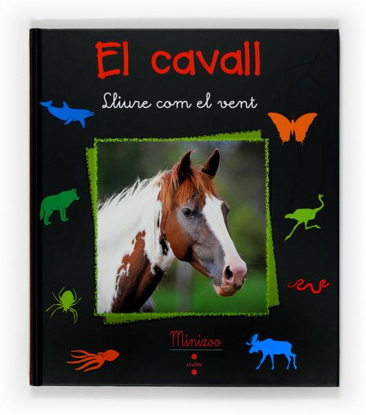 EL CAVALL | 9788466120043 | TRACQUI, VALÉRIE