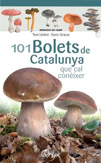 101 BOLETS DE CATALUNYA | 9788490347096 | TONI LLOBET & ENRIC GRACIA