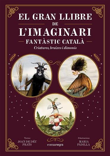 El Gran llibre de l'imaginari fantastic catala | 9788419590558 | Joan de Deu Prats