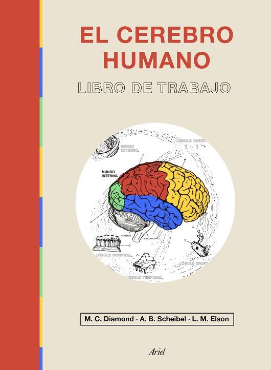 El cerebro humano | 9788434433601 | Marian C. Diamond & Lawrence M. Elson & A. B. Scheibel