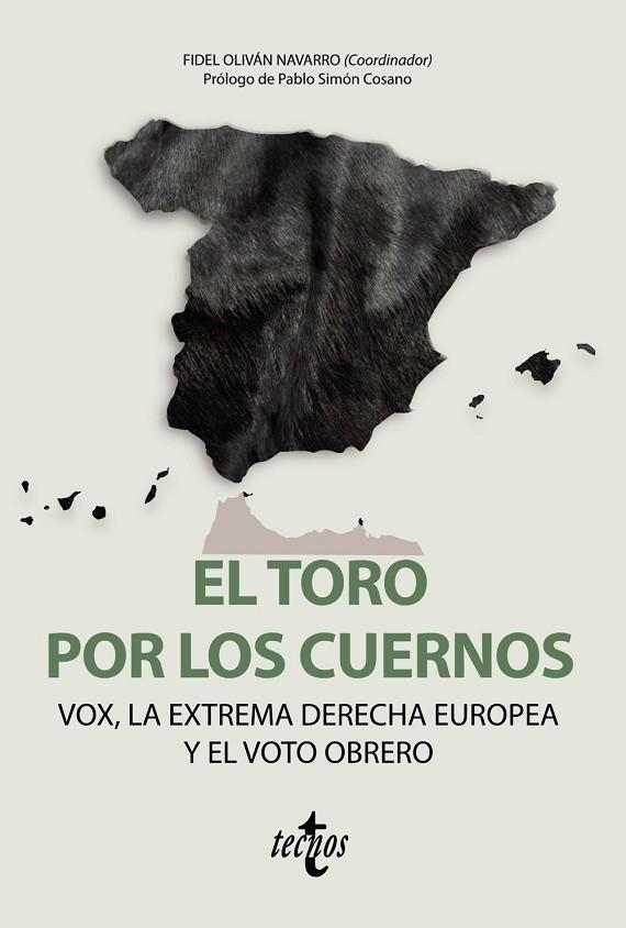 EL TORO POR LOS CUERNOS: VOX LA EXTREMA DERECHA EUROPEA Y EL VOTO OBRERO | 9788430981212 | VVAA