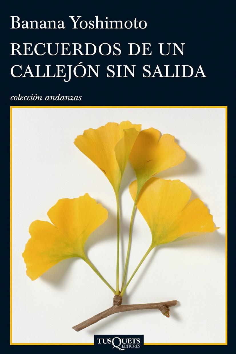 RECUERDOS DE UN CALLEJON SIN SALIDA | 9788483833360 | YOSHIMOTO, BANANA
