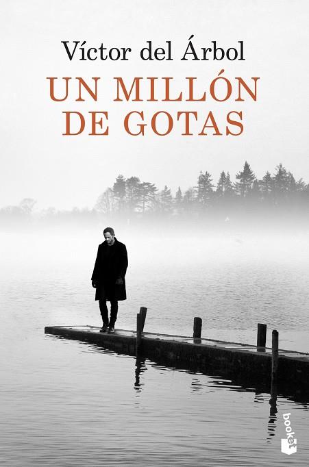UN MILLON DE GOTAS | 9788423349418 | VICTOR DEL ARBOL