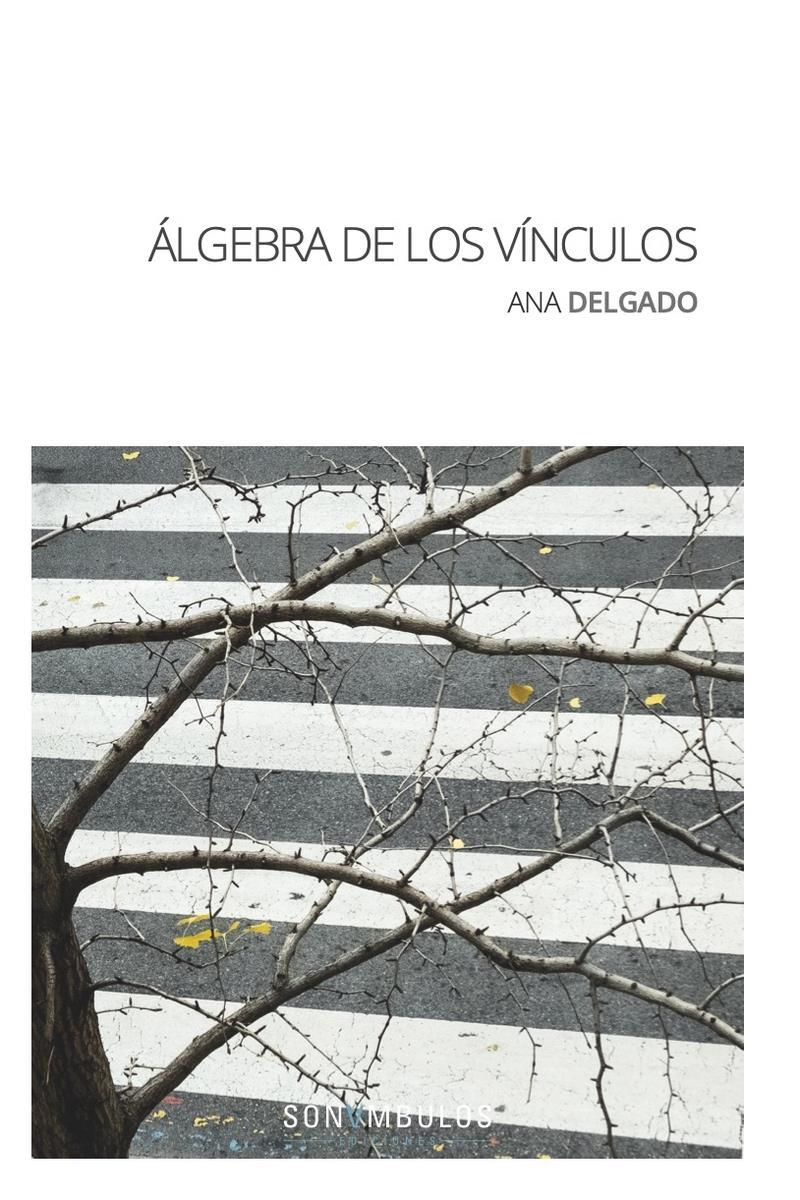 ÁLGEBRA DE LOS VÍNCULOS | 9788412204018 | ANA DELGADO
