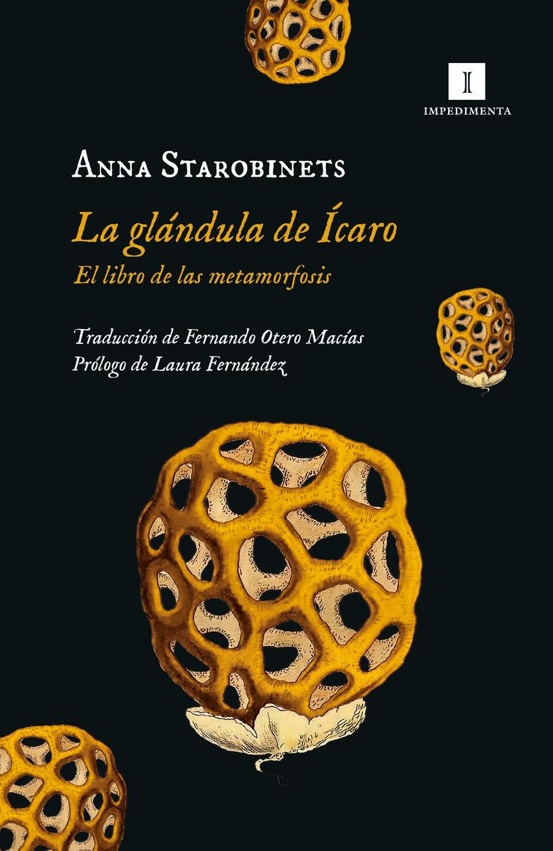 LA GLÁNDULA DE ÍCARO | 9788419581020 | ANNA STAROBINETS