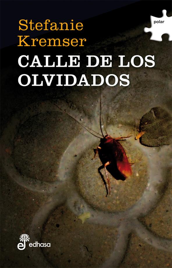 CALLE DE LOS OLVIDADOS | 9788435010764 | STEFANIE KREMSER