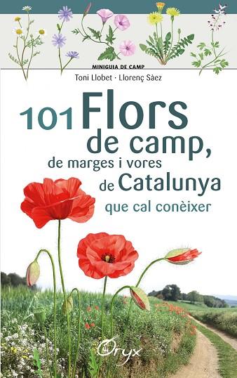 101 FLORS DE CAMP DE MARGES I VORES DE CATALUNYA | 9788490348413 | TONI LLOBET & LLORENÇ SAEZ 