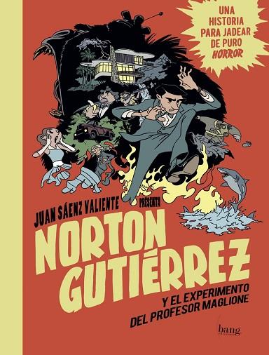 NORTON GUTIERREZ Y EL EXPERIMENTO DEL PROFESOR MAGLIONE | 9788416114719 | JUAN SAENZ VALIENTE