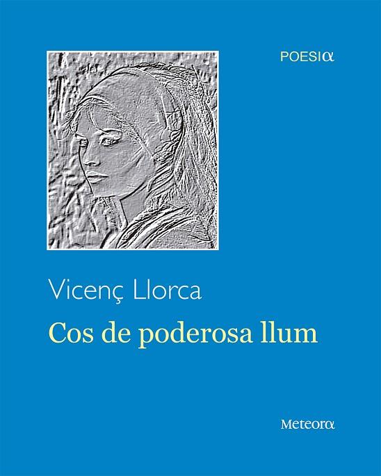 COS DE PODEROSA LLUM | 9788494834257 | VICENÇ LLORCA BERROCAL